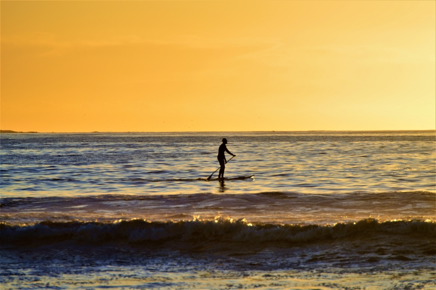 0 Bedroom Property for Sale in Shelley Point Western Cape